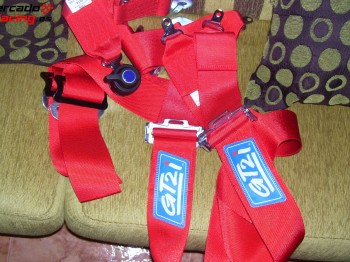 Arnes de 4 puntos gt2i trs caducado