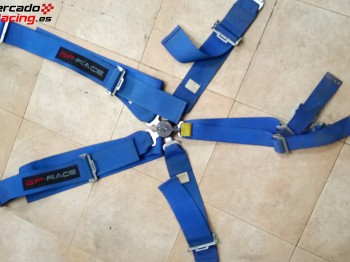 Arneses caducados 6 puntos