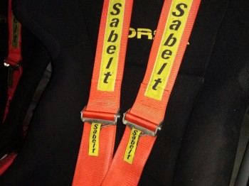 Pareja de arneses homologados 100€