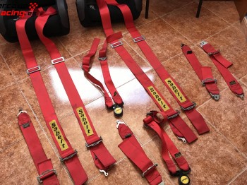 Arneses sabelt 6 puntos homologados 2019