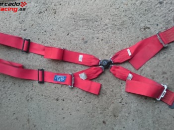 Arnés fia gt2i 4 puntos homologado hasta 2019