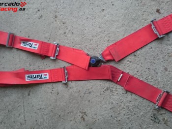 Arnes fia turini 4 puntos caducado en 2016