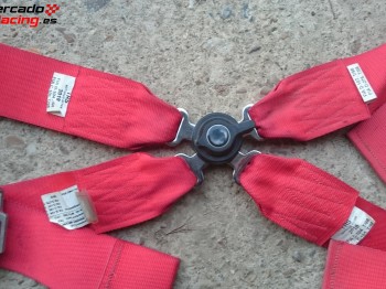 Arnes fia gt2i 4 puntos homologado hasta 2019 