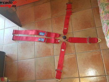 Arneses trs 6 puntos