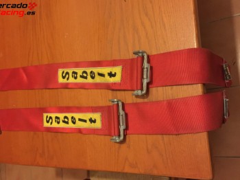 Arneses sabelt . caducados. 6 puntos 