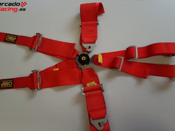 Pareja de arneses omp, 6 pts. homologados