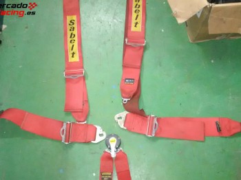 Pareja de arneses caducados 6 puntos