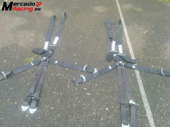 Arnéses 6 puntos turn one - hasta 2017