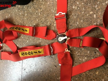 Arneses sabelt 6 puntos