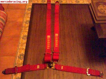 Arneses momo 4 puntos