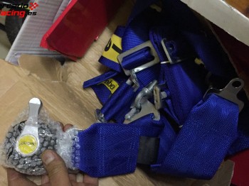 Arneses sabelt hasta 2018