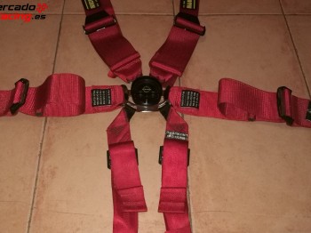 Se vende arnes caducado en 2016