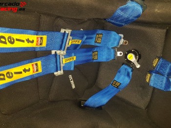 Pareja de arneses sabelt