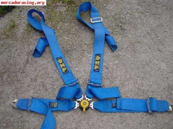 Arnes 4 puntos omp ancho  80e