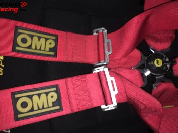 Pareja arneses 6 puntos