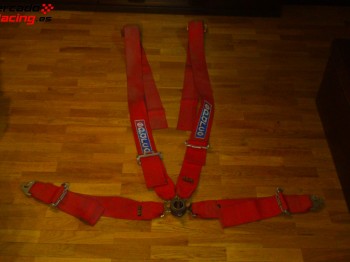 Arneses caducados de 4 y 6 puntos