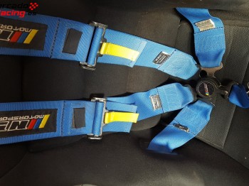 Arneses ns motorsport 6 puntos.