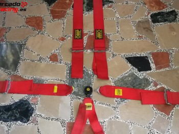 Arneses omp 6 puntos