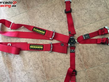 Arnés schroth 6 puntos 50€