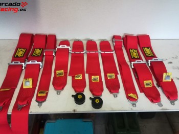 Arnés omp 802f 6 puntos