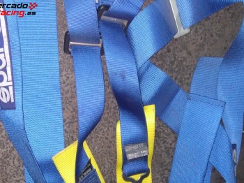 Arneses sparco 4 puntos