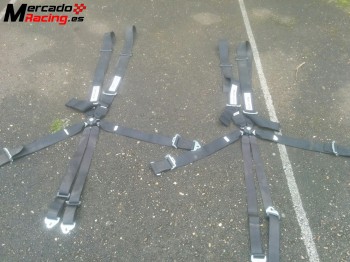 Arnéses 6 puntos turn one - hasta 2017