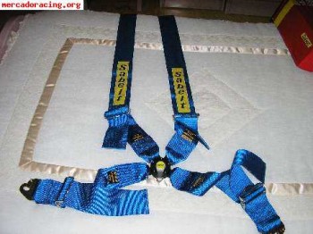     oferta arneses homologados  hasta 2011