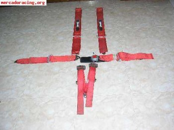 Se venden arneses  6 puntos