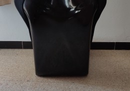 Se vende backet rrs dakar caducado 