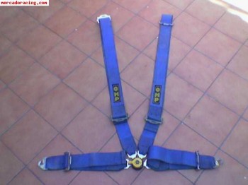 Pareja de arneses omp 6 puntos caducados 120 euros