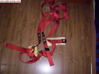 Arnes omp rojo 3 puntos 50e