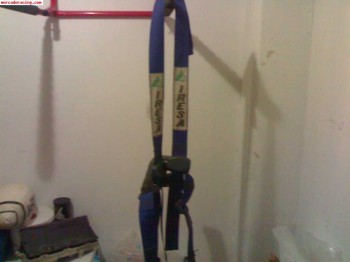 Arneses iresa ideal clasicos