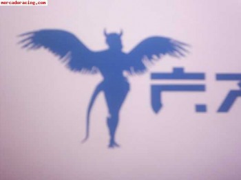 Parasol _fallen angel_