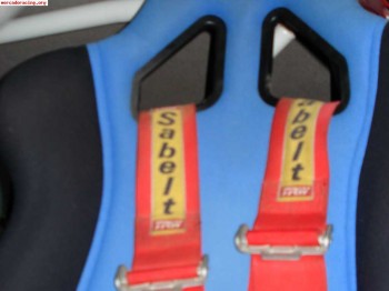 Arneses profesionales 4 pts 3 pulg.