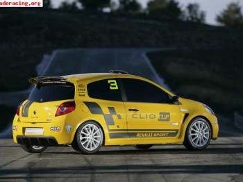 Vendo aleron clio cup 197cv