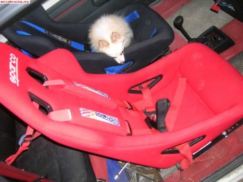 Vendo baqueta sparco ( caducados)