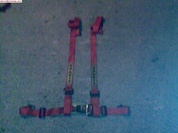 Arneses homologados para ruta o calle