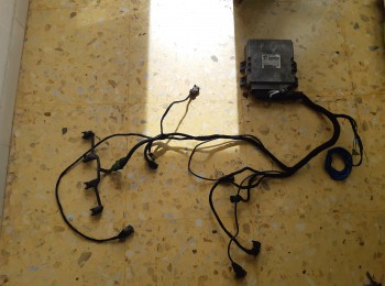 Se vende instalacion simplificada para saxo 106 206 etc 1.6 16v con ce