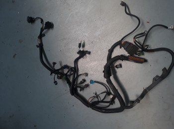 Instalación motor saxo/106 16v 1 conector