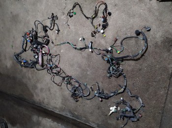 Instalacion saxo 16v