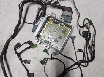 Centralita con instalación completa peugeot 206 16v