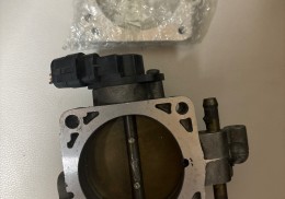 Se vende mariposa de clio