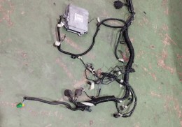 Instalacion y centralita saxo /106