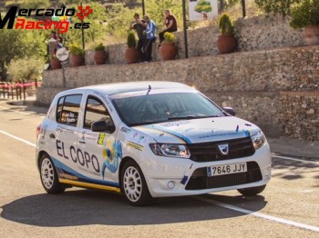 Dacia sandero cup 