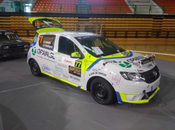 Dacia sandero cup