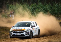 Dacia sandero eco cup