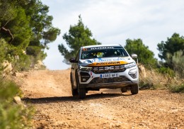 Dacia sandero eco cup