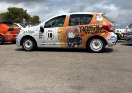 Dacia n3 