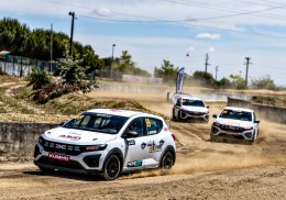 Sandero eco cup