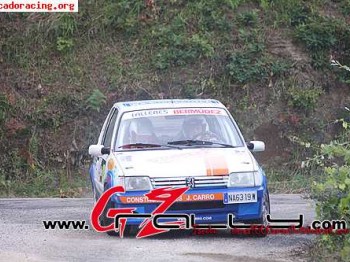 Se ofrece copiloto para rallye san froilan